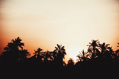 Silhouette trees against clear sky