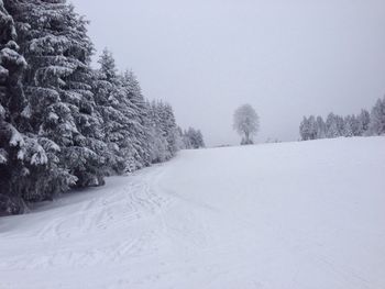 Scenic view of snow covered landscape