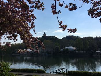 Scenic view of lake by trees and buildings against sky