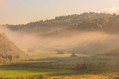 Scenic view of agricultural field against sky