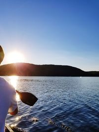 Low section of man in sea against clear sky