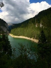 Scenic view of lake by trees against sky