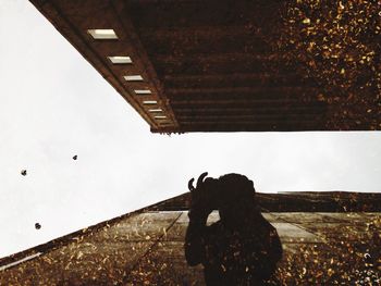 Low angle view of woman against sky