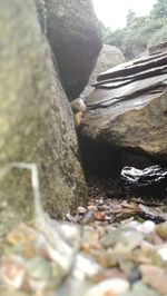 Close-up of rocks in shallow water