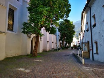 Street amidst trees and buildings against sky