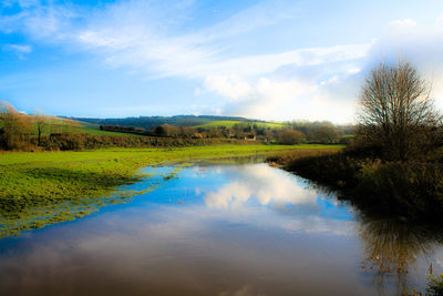 tranquil scene