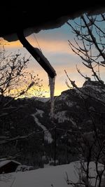 Low angle view of bare tree against sky during winter