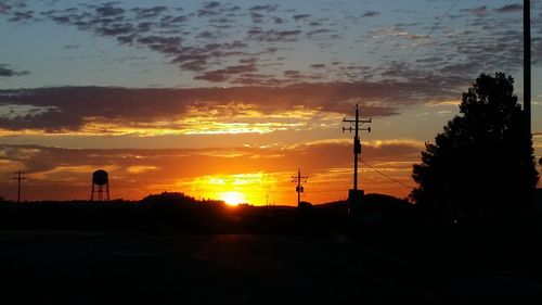 Silhouette of trees at sunset