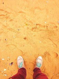 Low section of woman standing on beach