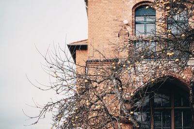 Low angle view of building