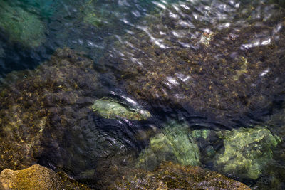 High angle view of water