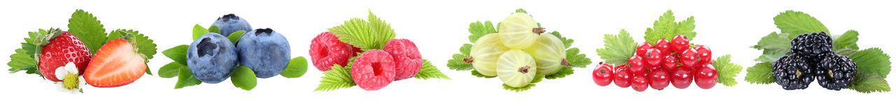 Close-up of multi colored candies against white background