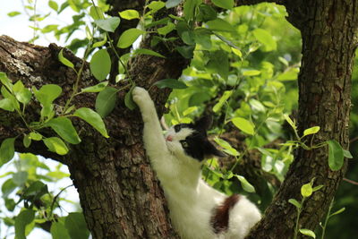 View of a tree