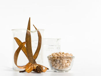 Close-up of food against white background