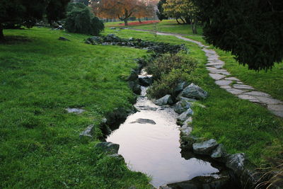 High angle view of stream in park