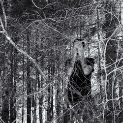 Man hiding amidst plants and trees in forest