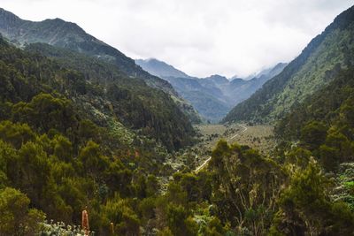 Scenic view of  bujuku valley and mountains against sky in the rwenzori mountains,uganda 