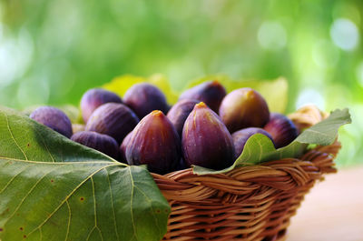 Close-up of figs in basket