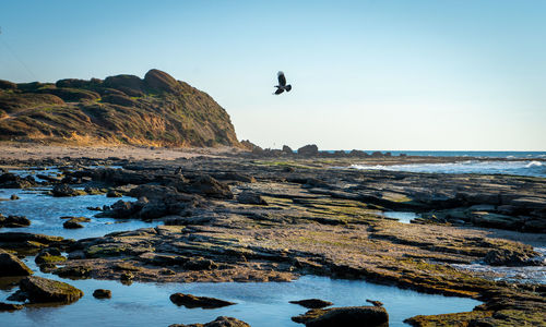 Scenic view of sea against clear sky