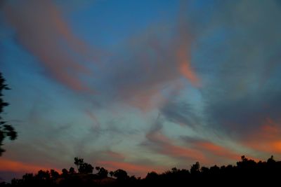 Low angle view of silhouette trees against dramatic sky