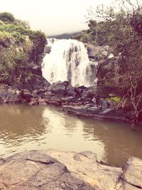 Scenic view of waterfall in forest