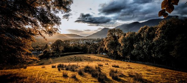 Scenic view of field against sky during sunset