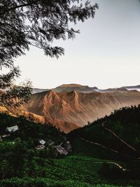 Scenic view of landscape against clear sky