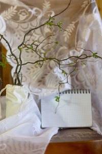 Tree branches with budding young leaves in a glass vase. 