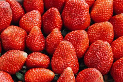 Fresh ripe harvested strawberries in box, closeup