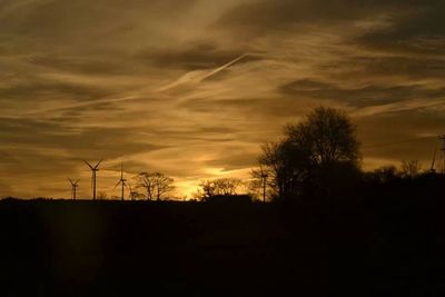 Silhouette of trees at sunset