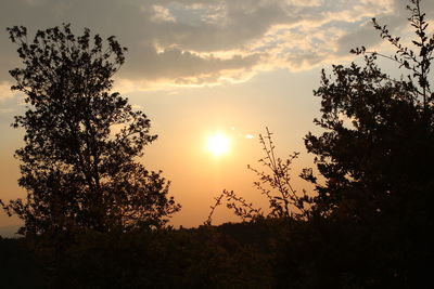 Silhouette trees against sky during sunset