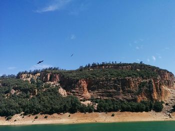 Birds flying over rocks against blue sky