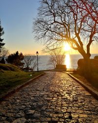 Footpath by bare trees against sky during sunset