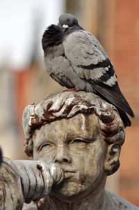 Close-up of statue of bird