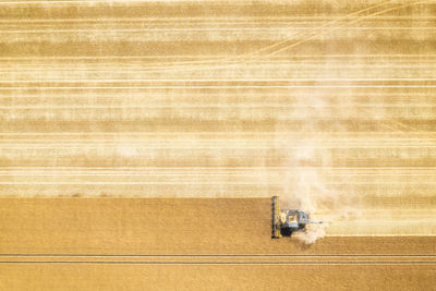 Aerial view of combine harvester in vast wheat field