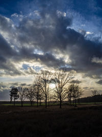 Silhouette bare trees on field against sky