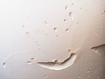 Close-up of water drops on white background