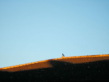 Low angle view of horse on roof against clear sky
