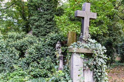 View of cross in cemetery