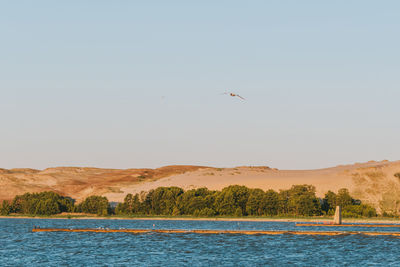 View of birds flying over sea against sky