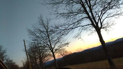 Bare trees against sky at sunset