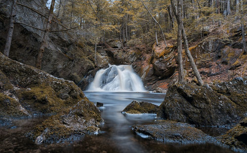 View of waterfall in forest