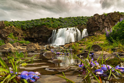 Scenic view of waterfall against rocks