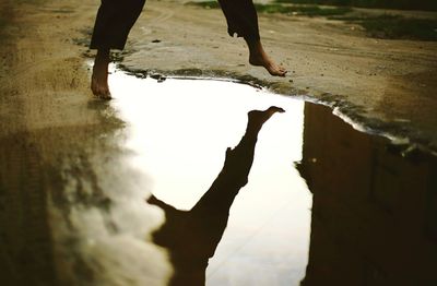 Silhouette of man in background