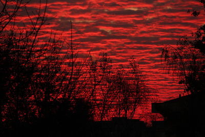 Low angle view of silhouette trees against sky at sunset