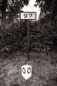 Information sign on road by trees