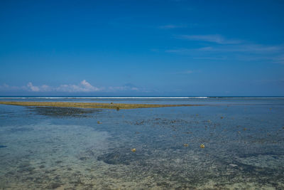 Scenic view of beach against blue sky