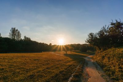 Dirt road amidst field against sky during sunset