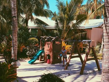 Palm trees by swimming pool against building