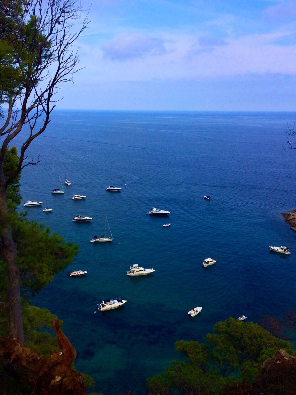 sea, water, horizon over water, nautical vessel, tranquil scene, transportation, scenics, tranquility, boat, beauty in nature, mode of transport, sky, nature, blue, high angle view, tree, idyllic, seascape, outdoors, no people